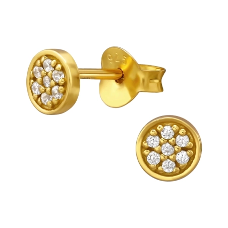 Golden Kreis mit Zirkonia Ohrstecker mit Zirkonia Steinen Schmuck | All4silver