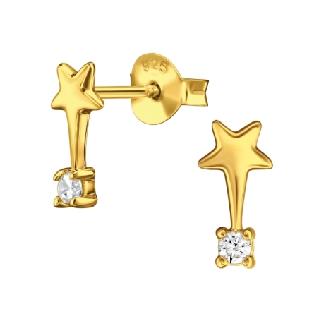 Goldener Stern mit Zirkonia Ohrstecker mit Zirkonia Steinen Schmuck | All4silver