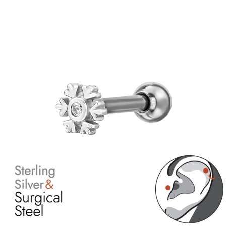 Schneeflocke mit Zirkonia Winter-Schmuck, Schnee-Schmuck Schmuck | All4silver