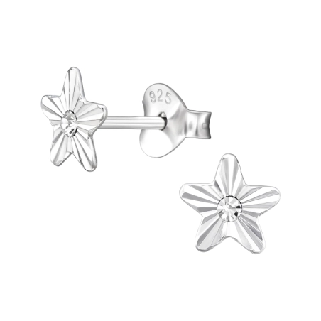 Stern mit Kristall Ohrstecker mit Kristall Schmuck | All4silver