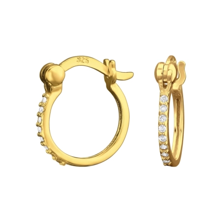 Golden Round with zirconia Ohrringe mit Zirkonia Steinen Schmuck | All4silver