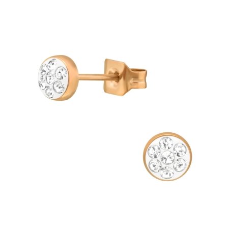 4 mm rosévergoldet mit Kristallen Ohrstecker aus Edelstahl Schmuck | All4silver