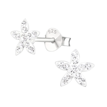 Ein Stern Ohrstecker mit Steinen Schmuck | All4silver